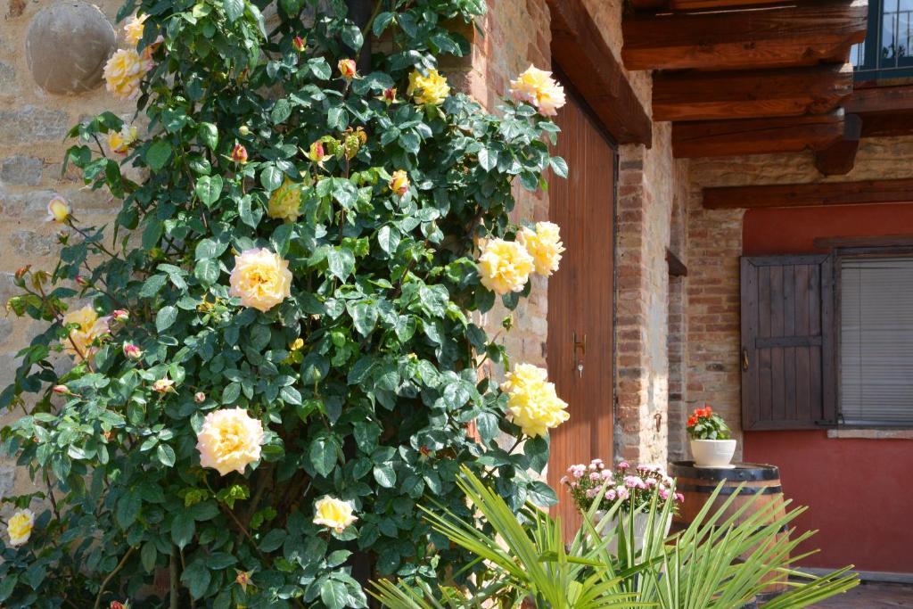 Bed and Breakfast Da Fabiana Bossolasco Zewnętrze zdjęcie