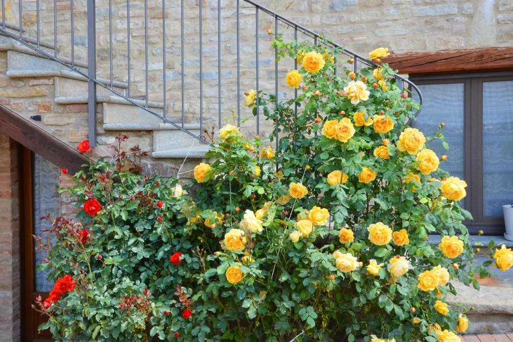 Bed and Breakfast Da Fabiana Bossolasco Zewnętrze zdjęcie
